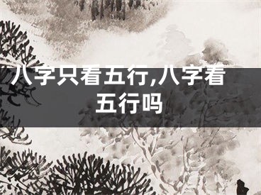 八字只看五行,八字看五行吗