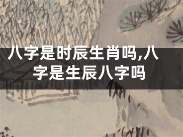 八字是时辰生肖吗,八字是生辰八字吗
