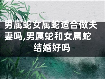男属蛇女属蛇适合做夫妻吗,男属蛇和女属蛇结婚好吗