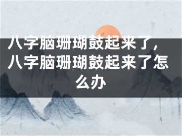 八字脑珊瑚鼓起来了,八字脑珊瑚鼓起来了怎么办