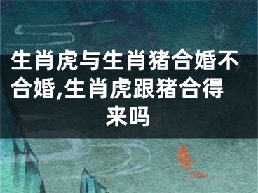 生肖虎与生肖猪合婚不合婚,生肖虎跟猪合得来吗