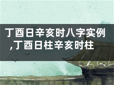 丁酉日辛亥时八字实例,丁酉日柱辛亥时柱