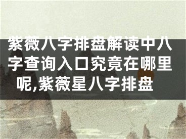 紫薇八字排盘解读中八字查询入口究竟在哪里呢,紫薇星八字排盘