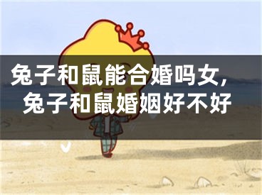 兔子和鼠能合婚吗女,兔子和鼠婚姻好不好