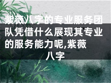 紫薇八字的专业服务团队凭借什么展现其专业的服务能力呢,紫薇 八字
