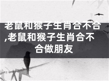 老鼠和猴子生肖合不合,老鼠和猴子生肖合不合做朋友