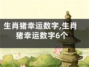 生肖猪幸运数字,生肖猪幸运数字6个