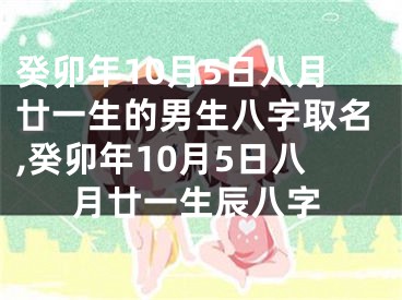癸卯年10月5日八月廿一生的男生八字取名,癸卯年10月5日八月廿一生辰八字