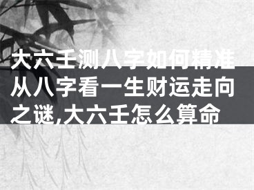 大六壬测八字如何精准从八字看一生财运走向之谜,大六壬怎么算命
