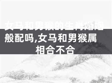 女马和男猴的生肖婚姻般配吗,女马和男猴属相合不合