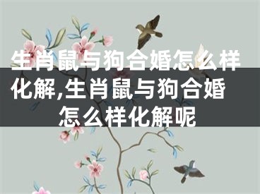生肖鼠与狗合婚怎么样化解,生肖鼠与狗合婚怎么样化解呢