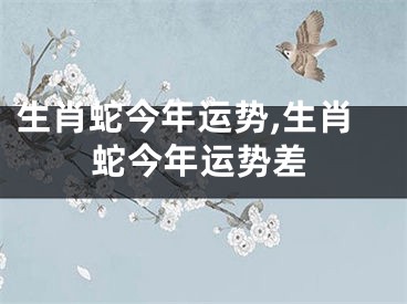 生肖蛇今年运势,生肖蛇今年运势差