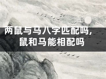 两鼠与马八字匹配吗,鼠和马能相配吗