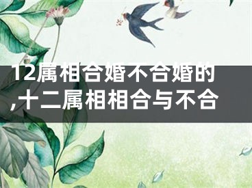12属相合婚不合婚的,十二属相相合与不合