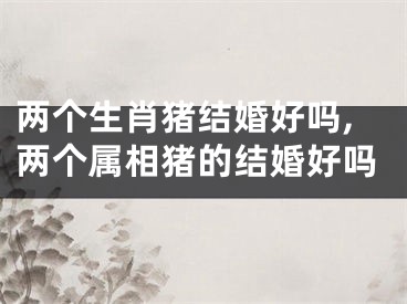 两个生肖猪结婚好吗,两个属相猪的结婚好吗
