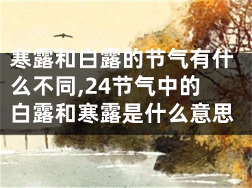 寒露和白露的节气有什么不同,24节气中的白露和寒露是什么意思