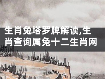 生肖兔塔罗牌解读,生肖查询属兔十二生肖网