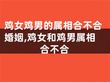 鸡女鸡男的属相合不合婚姻,鸡女和鸡男属相合不合