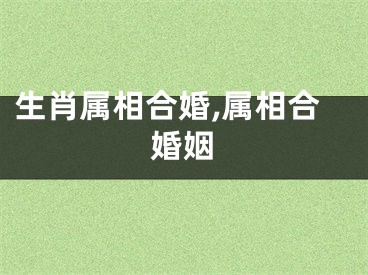 生肖属相合婚,属相合婚姻