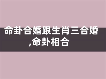 命卦合婚跟生肖三合婚,命卦相合