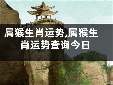 属猴生肖运势,属猴生肖运势查询今日