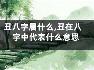 丑八字属什么,丑在八字中代表什么意思