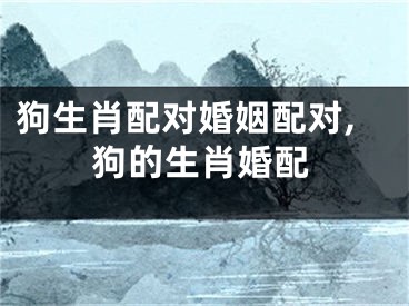 狗生肖配对婚姻配对,狗的生肖婚配