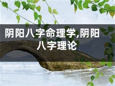 阴阳八字命理学,阴阳八字理论