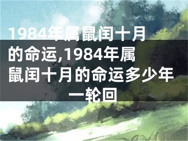 1984年属鼠闰十月的命运,1984年属鼠闰十月的命运多少年一轮回