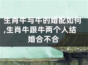 生肖牛与牛的婚配如何,生肖牛跟牛两个人结婚合不合