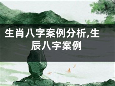 生肖八字案例分析,生辰八字案例