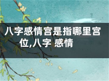 八字感情宫是指哪里宫位,八字 感情