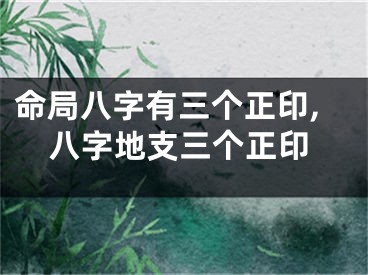 命局八字有三个正印,八字地支三个正印