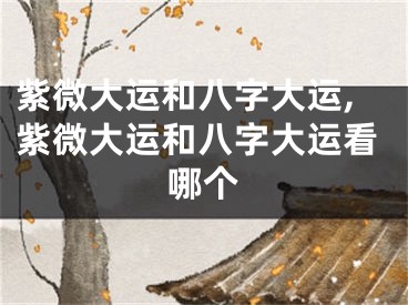 紫微大运和八字大运,紫微大运和八字大运看哪个