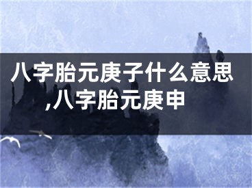 八字胎元庚子什么意思,八字胎元庚申