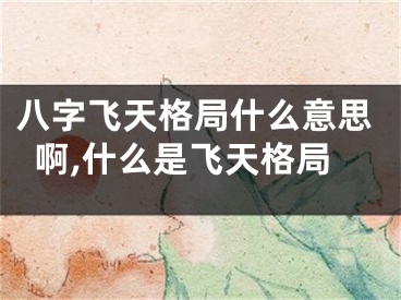 八字飞天格局什么意思啊,什么是飞天格局