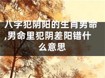 八字犯阴阳的生肖男命,男命里犯阴差阳错什么意思