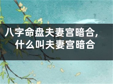 八字命盘夫妻宫暗合,什么叫夫妻宫暗合