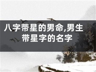 八字带星的男命,男生带星字的名字