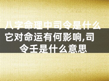 八字命理中司令是什么它对命运有何影响,司令壬是什么意思