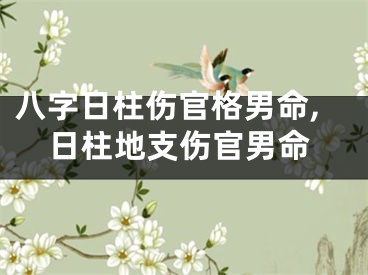 八字日柱伤官格男命,日柱地支伤官男命