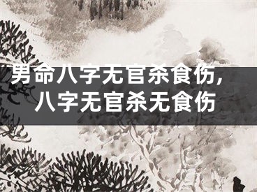 男命八字无官杀食伤,八字无官杀无食伤