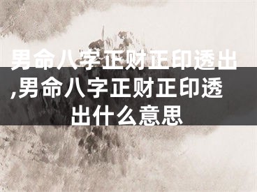 男命八字正财正印透出,男命八字正财正印透出什么意思