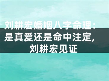 刘耕宏婚姻八字命理：是真爱还是命中注定,刘耕宏见证
