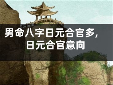 男命八字日元合官多,日元合官意向