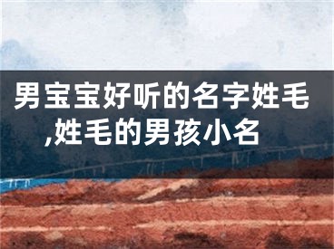 男宝宝好听的名字姓毛,姓毛的男孩小名