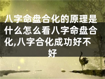 八字命盘合化的原理是什么怎么看八字命盘合化,八字合化成功好不好