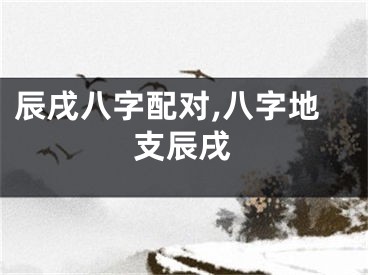 辰戌八字配对,八字地支辰戌