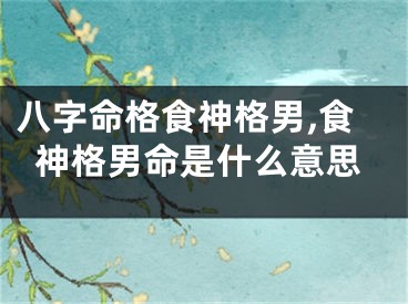 八字命格食神格男,食神格男命是什么意思