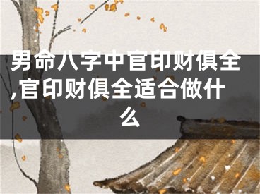 男命八字中官印财俱全,官印财俱全适合做什么